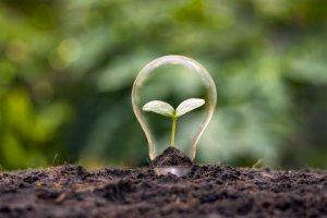 Do your part with recycled planters