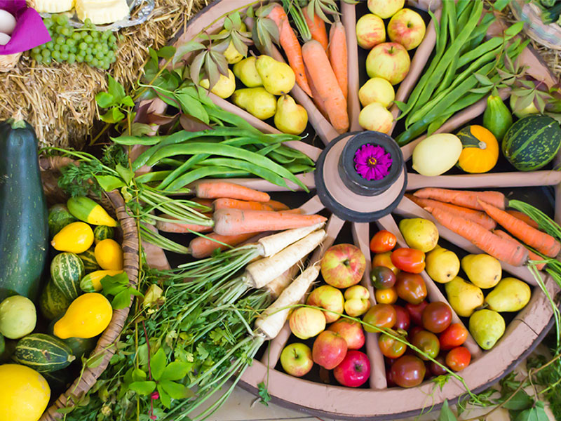 Equipping your kitchen for a season of change 