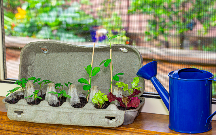 Do your part with recycled planters