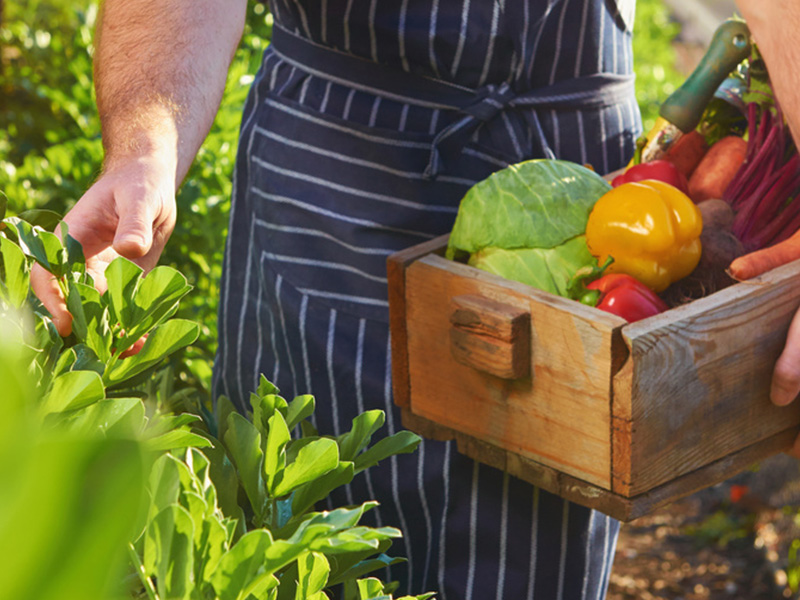 Equipment for fresh meals from farm to finish 