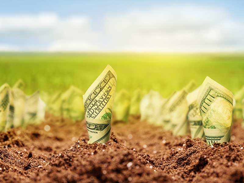 Make your operation a little greener